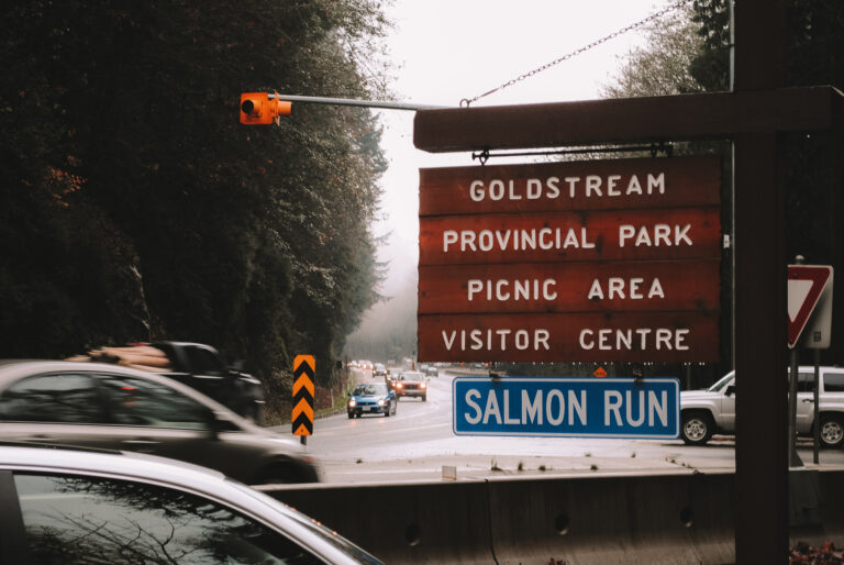 A sign indicating the salmon run is on in Goldstream Provincial Park