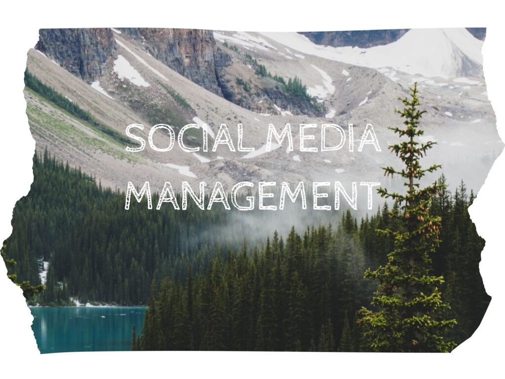Social Media Management Services